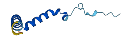 GNG10 3D structure