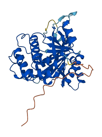 IDH3A 3D structure