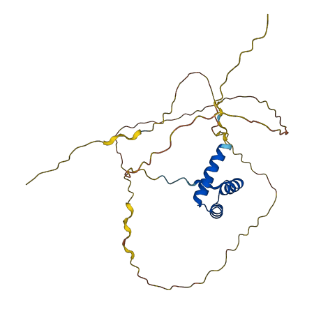 MEOX1 3D structure