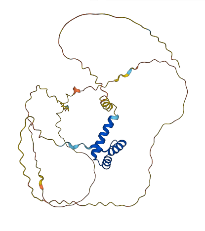 MEOX2 3D structure