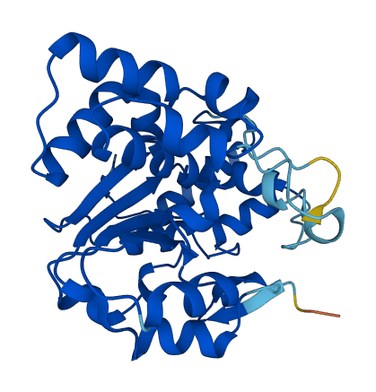 Sult2a2 3D structure