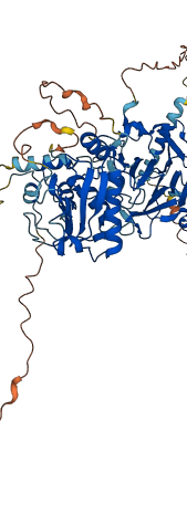 MMP14 3D structure