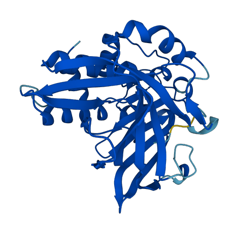 Nat3 3D structure