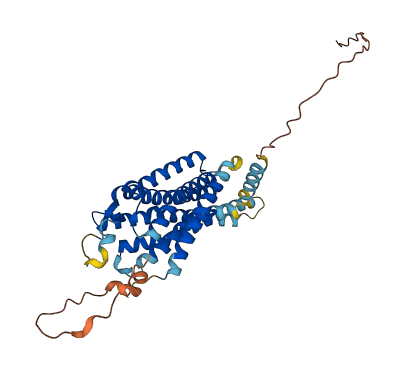 NPY4R 3D structure