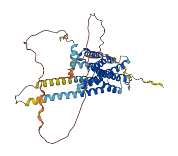 HTR6 3D structure