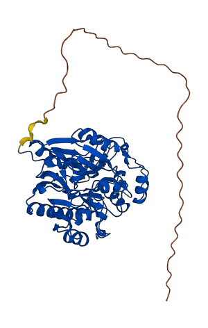 GATM 3D structure