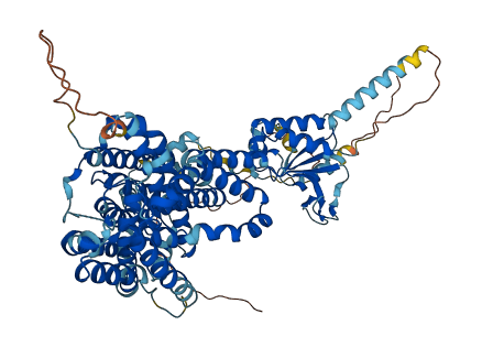 SLC26A2 3D structure
