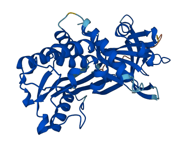 SERPINB8 3D structure