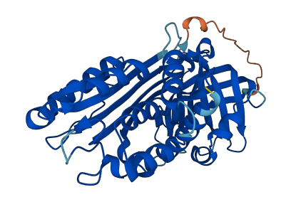 SERPINB9 3D structure