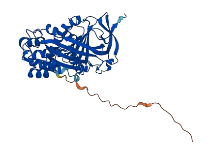 SERPINH1 3D structure