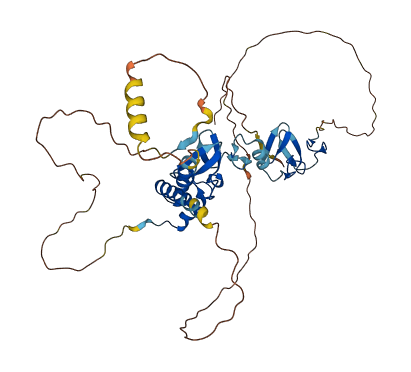 LHX2 3D structure