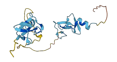 CSRP3 3D structure
