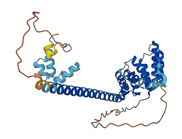 ST13 3D structure