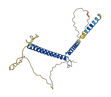 MXI1 3D structure
