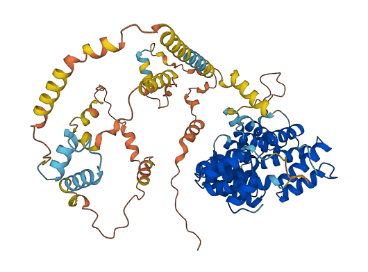 PEX5 3D structure
