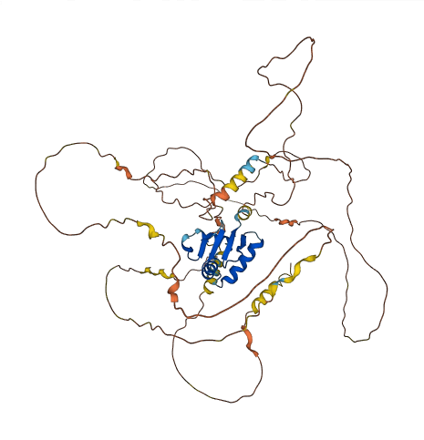 ERF 3D structure