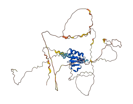ETV1 3D structure