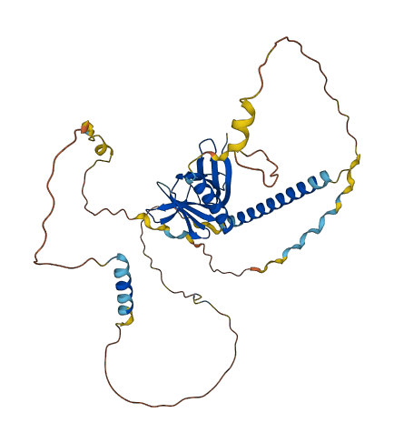 VASP 3D structure