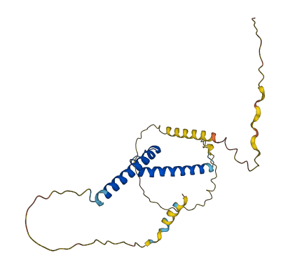 ASCL1 3D structure