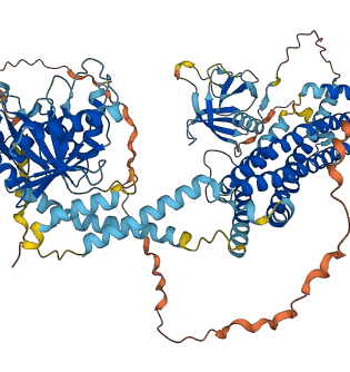DNM2 3D structure