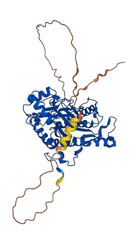 METAP2 3D structure