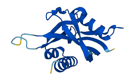 NUDT2 3D structure