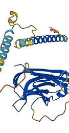 TNFSF10 3D structure