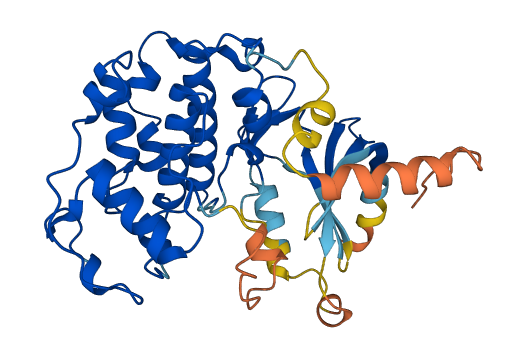CDK7 3D structure