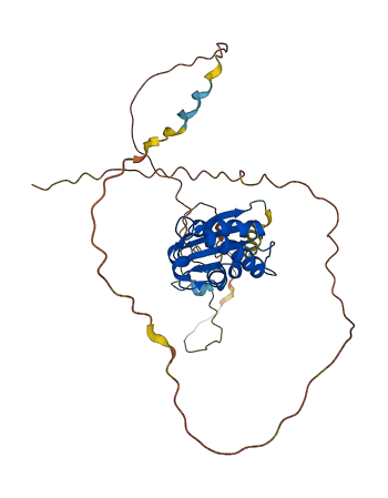TOB1 3D structure