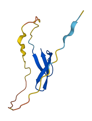 Defa11 3D structure