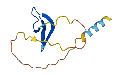 Defa13 3D structure