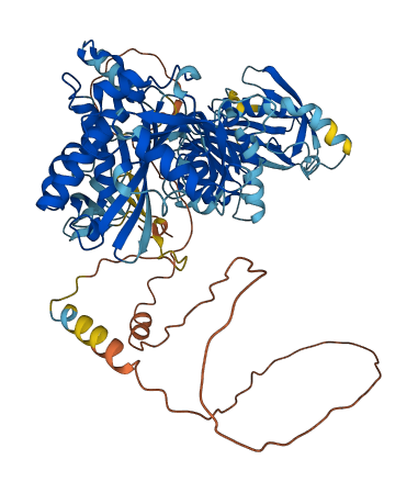 HLCS 3D structure