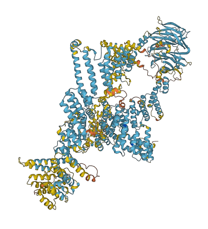 KNTC1 3D structure