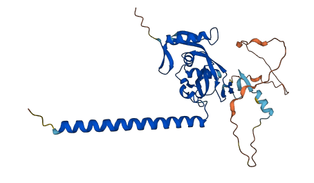 RASSF2 3D structure