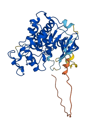 CDK9 3D structure
