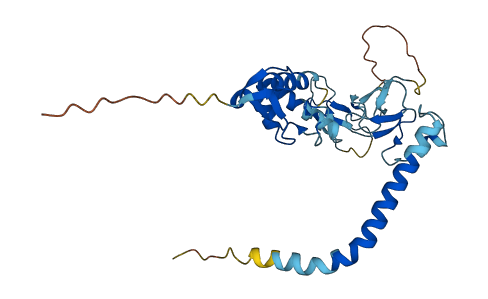 RNF144A 3D structure