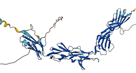 BCAM 3D structure