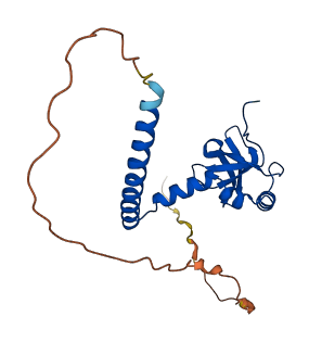 RPL14 3D structure