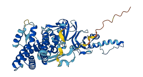 CCT8 3D structure
