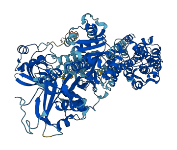 ATP1A2 3D structure