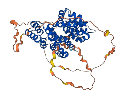ANXA11 3D structure