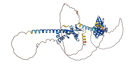 FXR1 3D structure