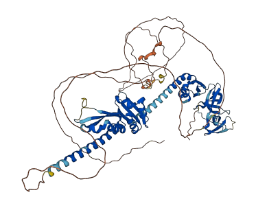 FXR2 3D structure