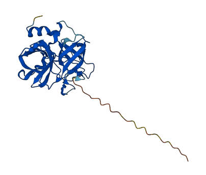 GZMM 3D structure