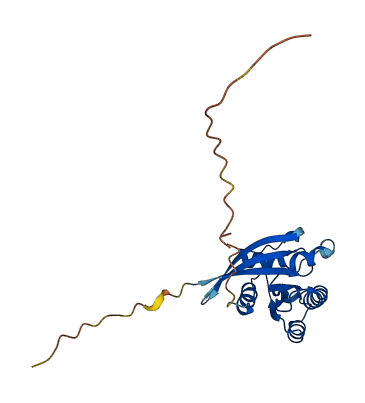 RAB5C 3D structure
