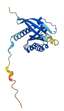 RAB7A 3D structure