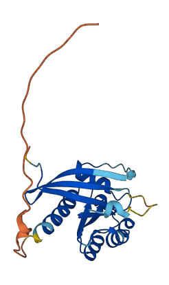 RAB13 3D structure