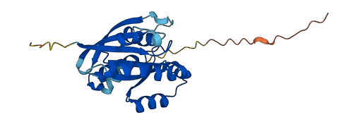 RAB28 3D structure