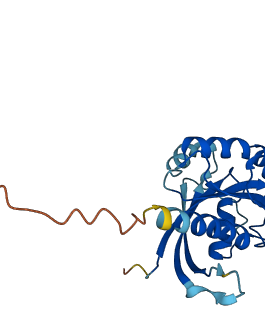 RAB27A 3D structure