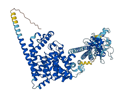 PDE6C 3D structure